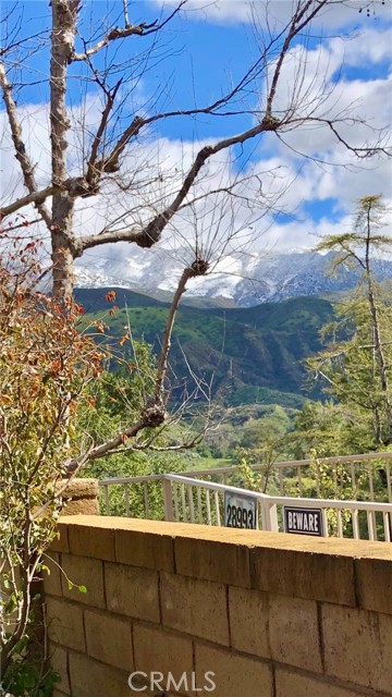 28987 Canyon Ridge Drive, Trabuco Canyon CA: https://media.crmls.org/medias/beac3489-3157-4abe-94aa-d5efe612b1d6.jpg