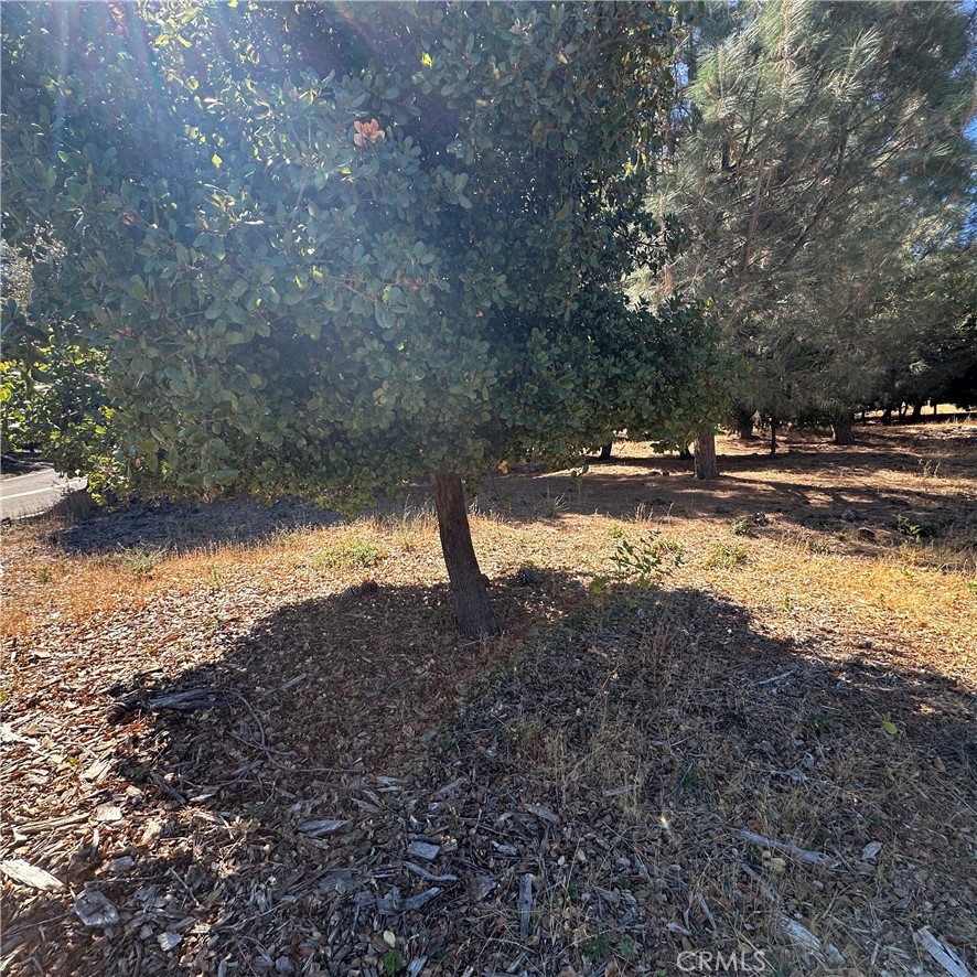 MLS #LC25222462 image #11