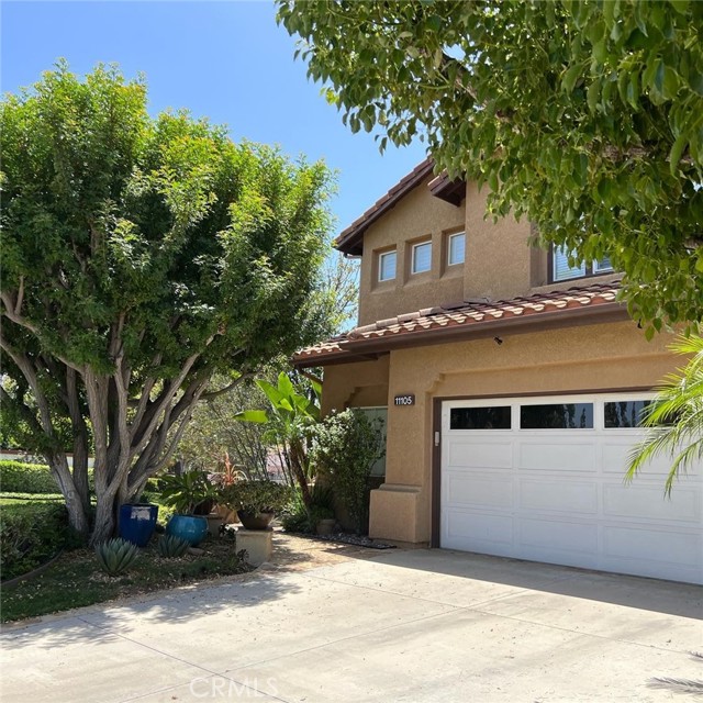 Front Image Thumbnail for CROC25077150