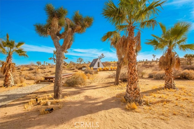 Detail Gallery Image 48 of 74 For 59427 La Crescenta Dr, Yucca Valley,  CA 92284 - 2 Beds | 1 Baths