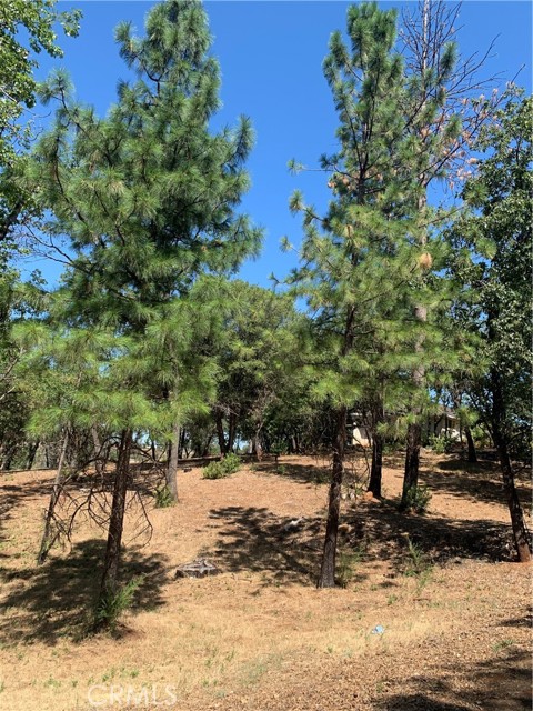 4896 Malibu Drive, Paradise, California 95969, ,Land,For Sale,4896 Malibu Drive,CRSN22148840