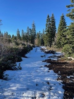 Detail Gallery Image 11 of 14 For 16352 Last Chance Mine Rd, Nevada City,  CA 95959 - – Beds | – Baths