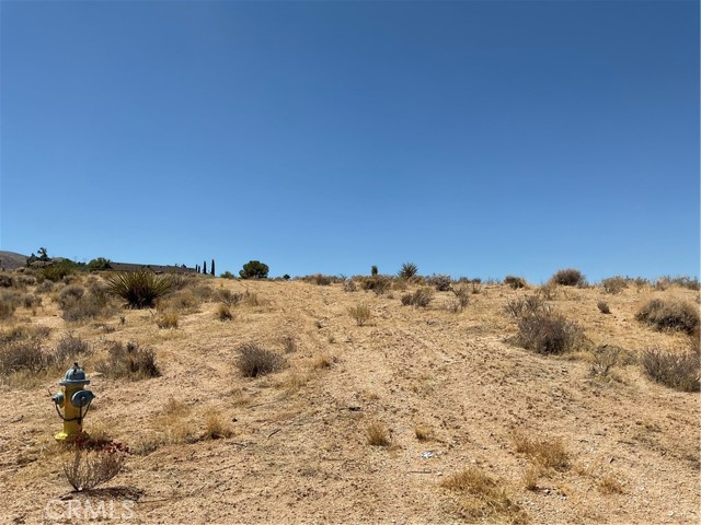 Detail Gallery Image 8 of 11 For 7 Ocotillo Way, Apple Valley,  CA 92308 - – Beds | – Baths