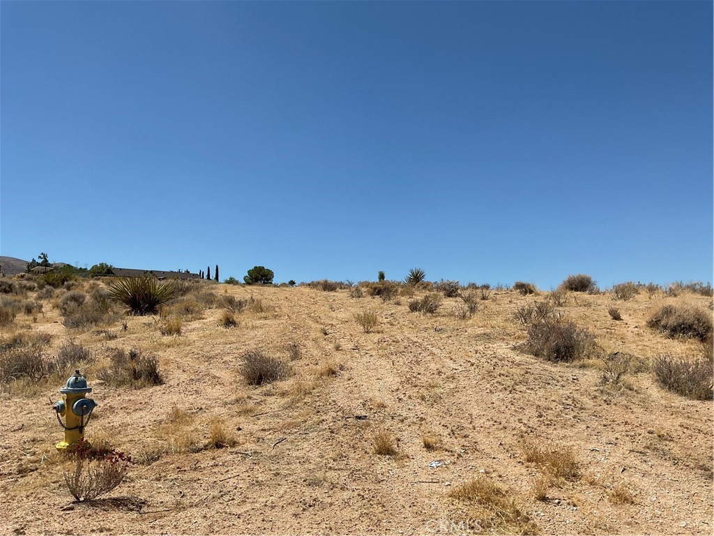 MLS #HD25186708 image #7