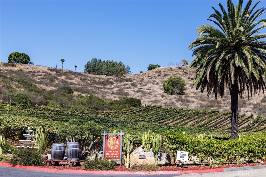 MLS #OC25023879 image #45