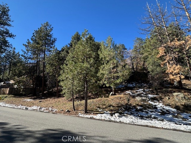 Detail Gallery Image 2 of 11 For 0 Flume Canyon, Wrightwood,  CA 92397 - – Beds | – Baths