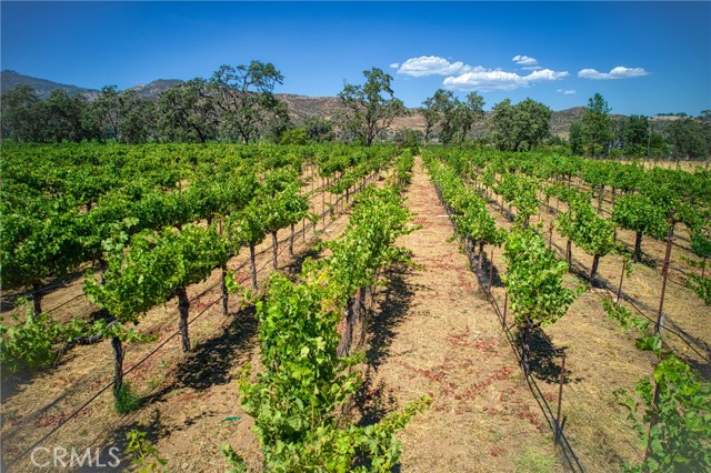 20756 State Highway 175, Middletown, CA, 95461 20756 State Highway 175, Middletown, CA, 95461