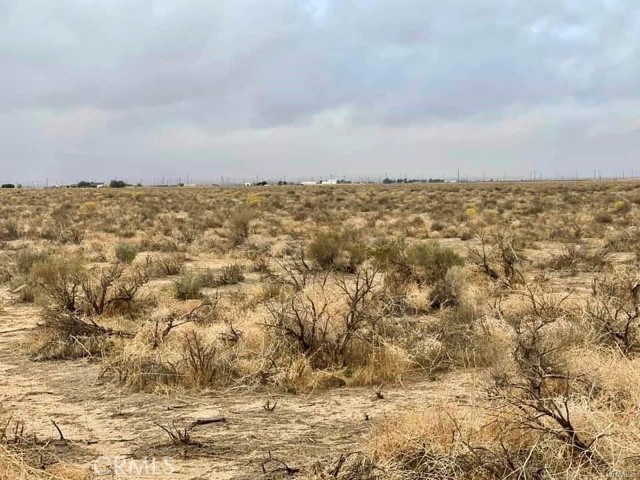 0 65th St. W & Ave G-4, Lancaster CA: https://media.crmls.org/medias/bed70453-75af-4a29-b28b-21bc285286b6.jpg