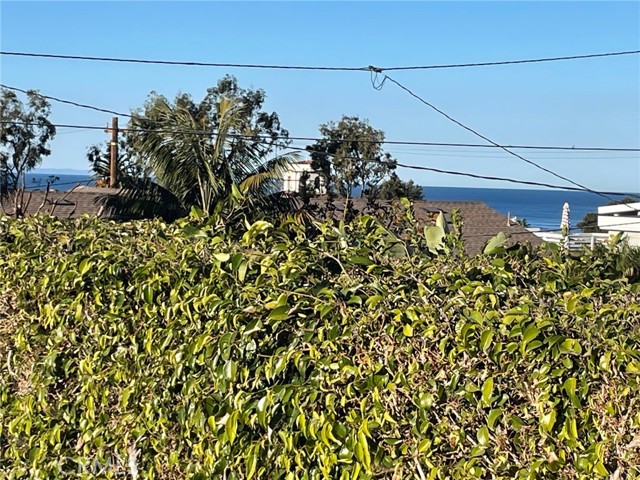 555 Through Street, Laguna Beach CA: https://media.crmls.org/medias/bed79504-3a85-4e4e-80d8-7355cd372af3.jpg