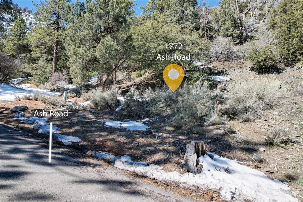 1772 Ash Road, Wrightwood, CA 92397