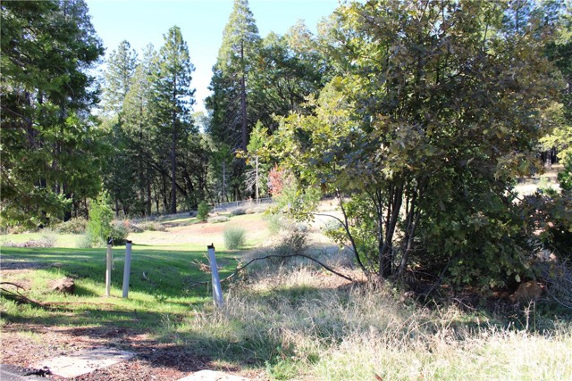 Detail Gallery Image 3 of 17 For 13911 Cluster Ct, Magalia,  CA 95954 - – Beds | – Baths