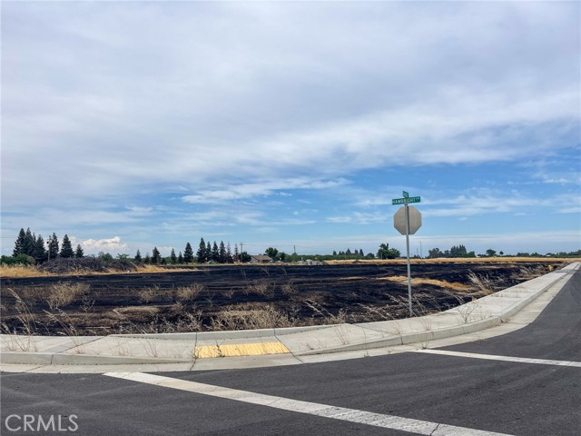 Detail Gallery Image 12 of 16 For 698 Hambright (Corner Hwy 32) Ave, Orland,  CA 95963 - – Beds | – Baths