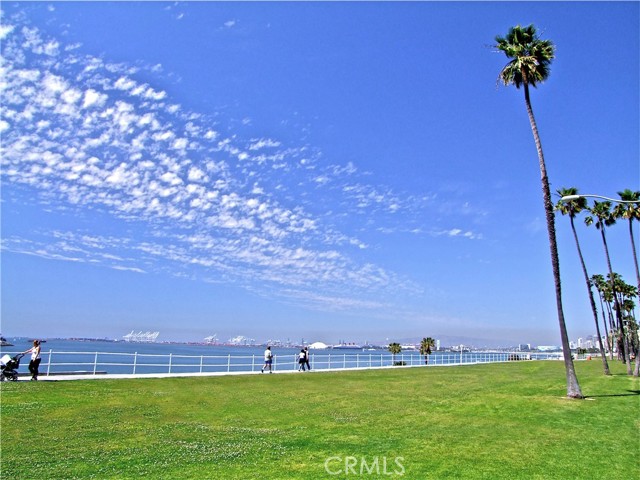 Detail Gallery Image 31 of 39 For 1724 E 1st St #9,  Long Beach,  CA 90802 - 1 Beds | 1 Baths