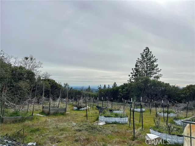 Detail Gallery Image 10 of 13 For 0 Top View Ct, Oroville,  CA 95966 - – Beds | – Baths