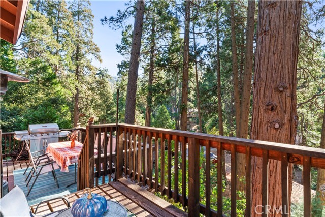 Detail Gallery Image 30 of 43 For 1117 Nesthorn Dr, Crestline,  CA 92325 - 4 Beds | 2 Baths