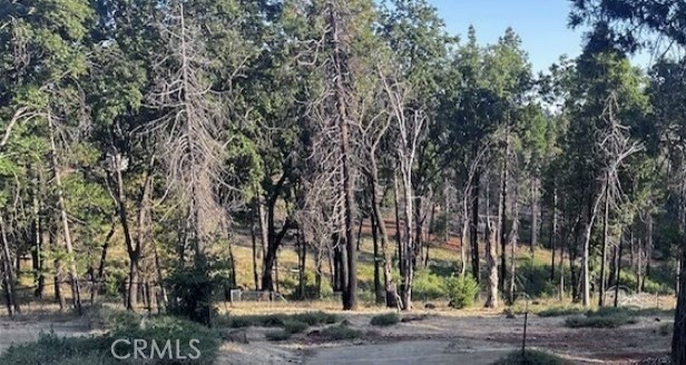 Front Image Thumbnail for CRSN26037381