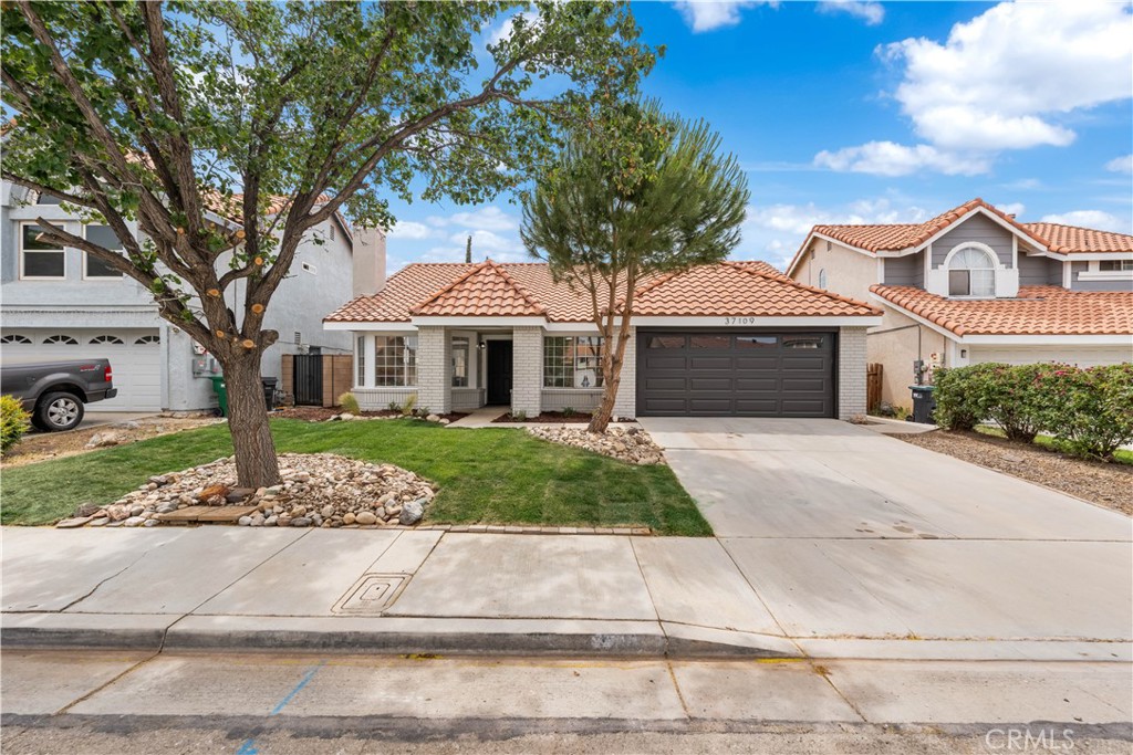 37109 Daisy Street