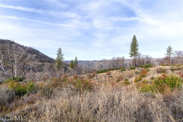 2231 Lumpkin Road, Oroville, California 95966, ,Land,For Sale,2231 Lumpkin Road,CRSN23227176