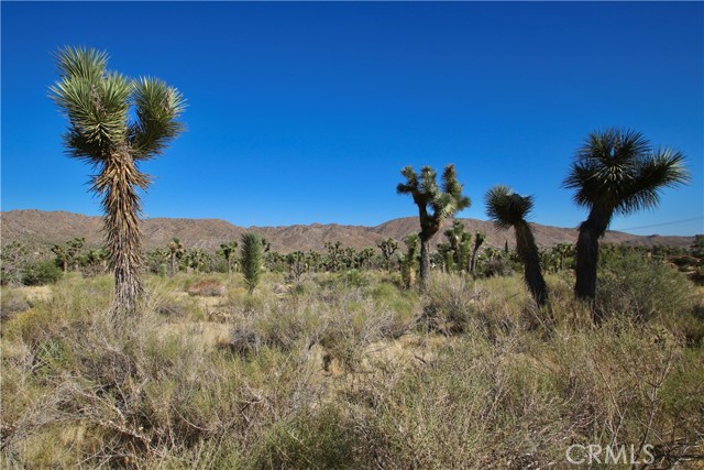 7000 Kickapoo Trail, Yucca Valley, California 92284, ,Land,For Sale,7000 Kickapoo Trail,CRJT23196691