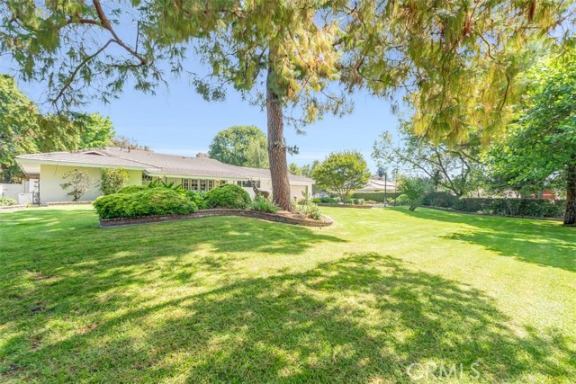 252 W 15th Street, Upland CA: https://media.crmls.org/medias/bf35c095-e78b-43b0-a56e-f4e9a1c6f5bf.jpg