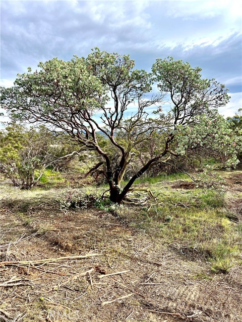 Detail Gallery Image 6 of 21 For 1 Overton, Hemet,  CA 92544 - – Beds | – Baths