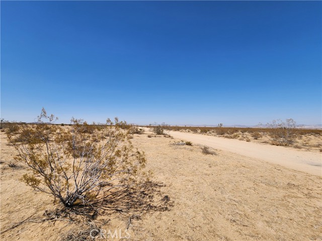 2020 Sunset Road, Joshua Tree CA: https://media.crmls.org/medias/bf42cc45-bf91-42b9-8c0e-3acf18652526.jpg