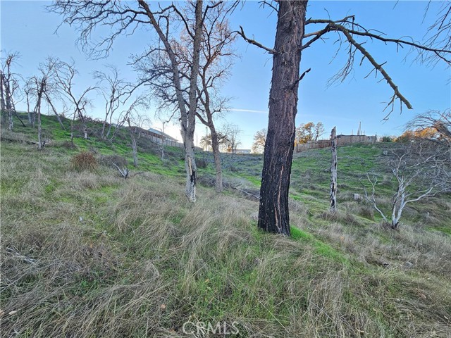 Detail Gallery Image 27 of 28 For 17150 Deer Park, Lower Lake,  CA 95457 - – Beds | – Baths