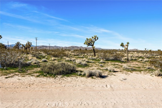 Detail Gallery Image 31 of 51 For 0 Gibraltar, Landers,  CA 92285 - – Beds | – Baths