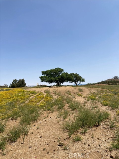 33220 Nancy Lane, Menifee, California 92584, 3 Bedrooms Bedrooms, ,2 BathroomsBathrooms,Residential,For Sale,33220 Nancy Lane,CRPW23194270