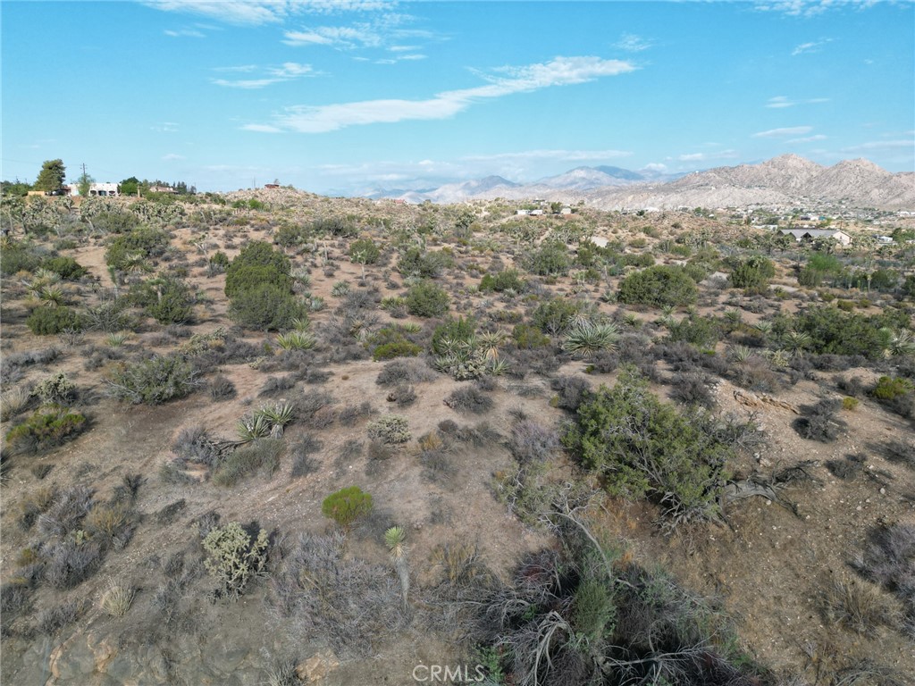 MLS #JT25168807 image #3