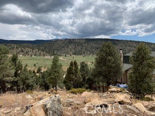 0 Ponderosa, Big Bear City, California 92314, ,Land,For Sale,0 Ponderosa,CROC20150732