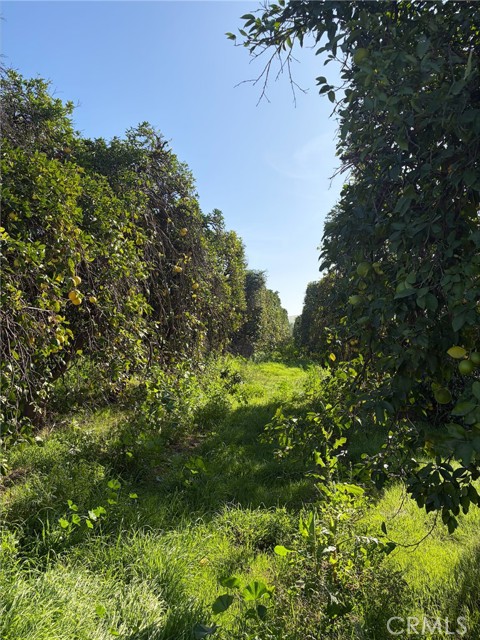 0 Dufferin, Riverside CA: https://media.crmls.org/medias/bf5d7c6f-dd81-47c8-9933-1d97bcaa7793.jpg