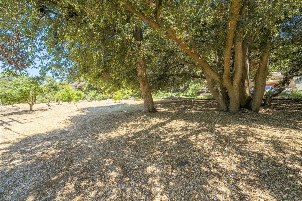 https://media.crmls.org/medias/bf5f208e-3209-44fd-b938-2190dafba6ec.jpg?preset=X-Large