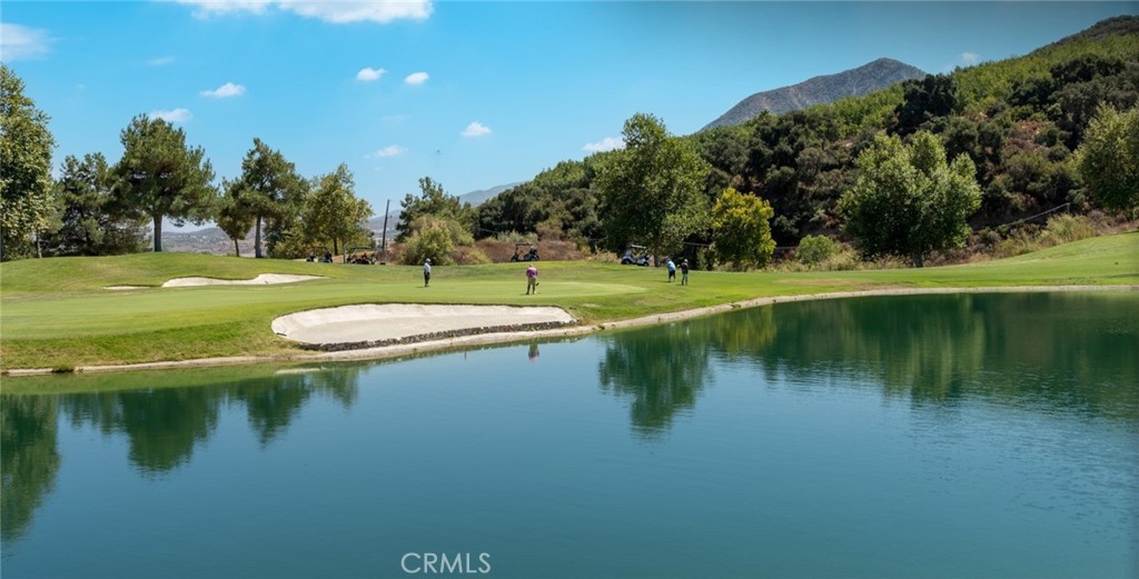 https://media.crmls.org/medias/bf6528f1-d117-4b04-963e-6007cc551f22.jpg?preset=X-Large