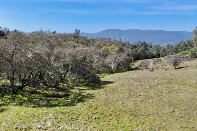 Detail Gallery Image 5 of 16 For 76310 Bryson Hesperia Rd, Bradley,  CA 93426 - – Beds | – Baths