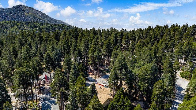 31686 Luring Pines Circle, Running Springs, CA 92382