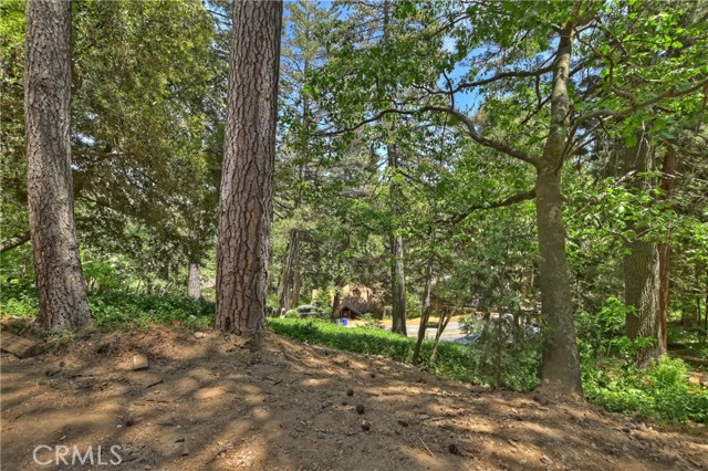 Detail Gallery Image 37 of 59 For 996 Coulter Pine Rd, Crestline,  CA 92325 - 3 Beds | 1 Baths