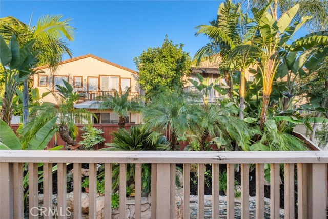 Image 22 of 57 For 30 Acanthus  