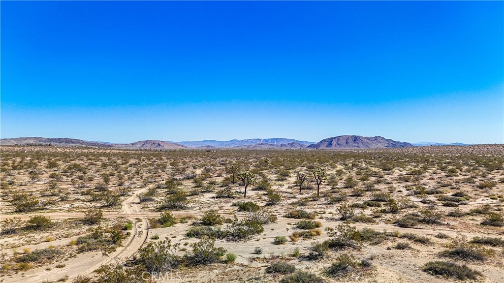 MLS #JT25078936 image #12