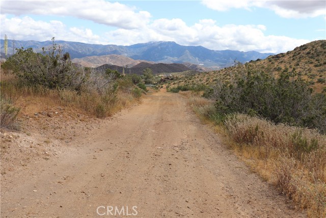 0 Vac/Cor Mountain Spring/Carrol, Acton, California 93510, ,Land,For Sale,0 Vac/Cor Mountain Spring/Carrol,CRSR23077660