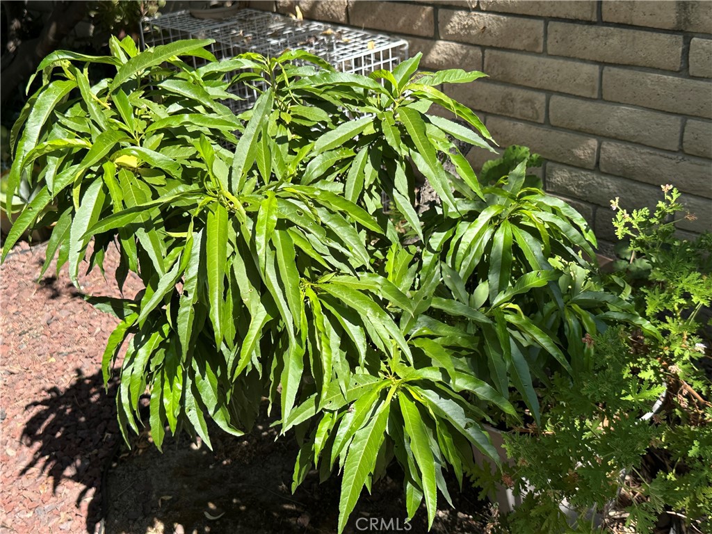 https://media.crmls.org/medias/bf8b82ff-7d8b-4d6b-a059-eb1d9672ab88.jpg?preset=X-Large