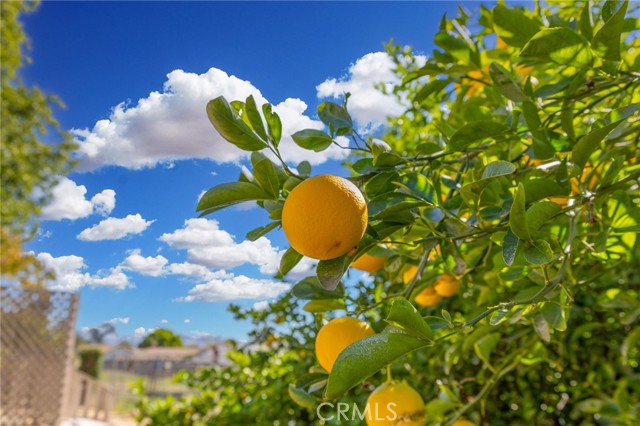 Detail Gallery Image 69 of 74 For 27953 Atlantic, Highland,  CA 92346 - 2 Beds | 1 Baths