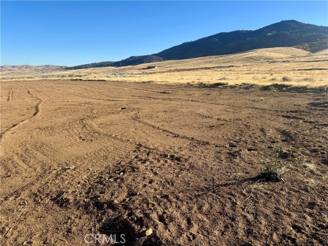 Detail Gallery Image 3 of 9 For 0 Comanche Drive, Tehachapi,  CA 93561 - – Beds | – Baths