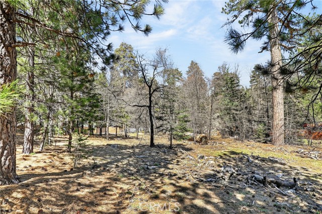 Detail Gallery Image 13 of 23 For 0 Cepu Rd, Running Springs,  CA 92382 - – Beds | – Baths