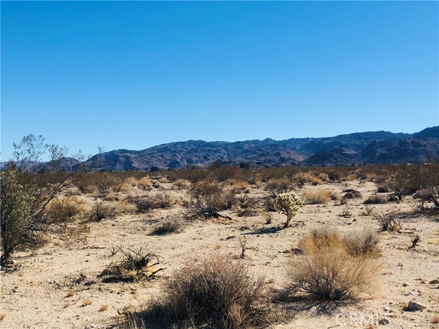 Detail Gallery Image 4 of 9 For 5 Appian Way, Twentynine Palms,  CA 92277 - – Beds | – Baths