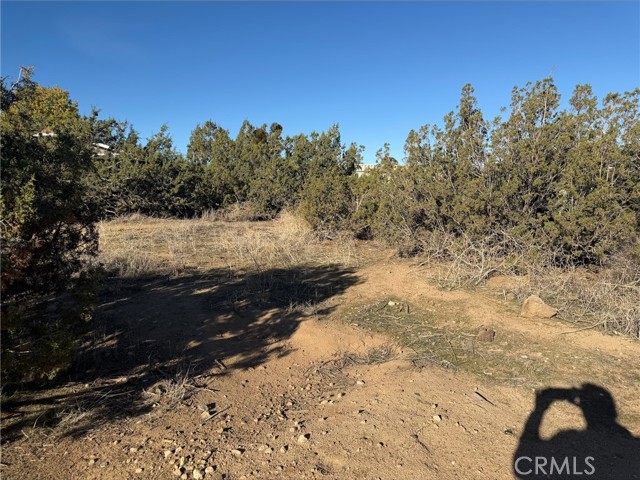 Front Image Thumbnail for CRSW25279159