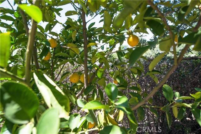 9892 River Road, San Miguel CA: https://media.crmls.org/medias/bf9f8537-1367-42e2-ac03-b40c0558597c.jpg