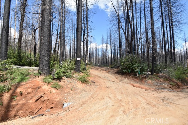93 Stump Ranch Road, Berry Creek, CA, 95916 93 Stump Ranch Road, Berry Creek, CA, 95916