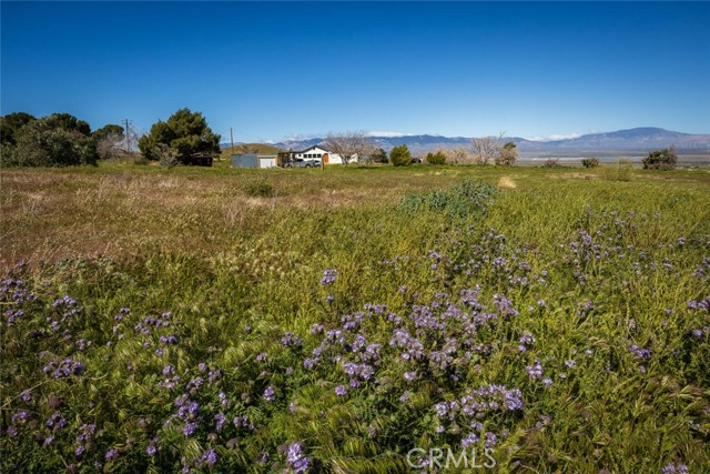 Detail Gallery Image 56 of 57 For 47721 222nd, Lancaster,  CA 93536 - 3 Beds | 2 Baths