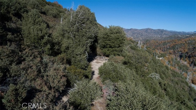 795 Eucalyptus Road, Lake Arrowhead, California 92352, ,Land,For Sale,795 Eucalyptus Road,CRRW23209652